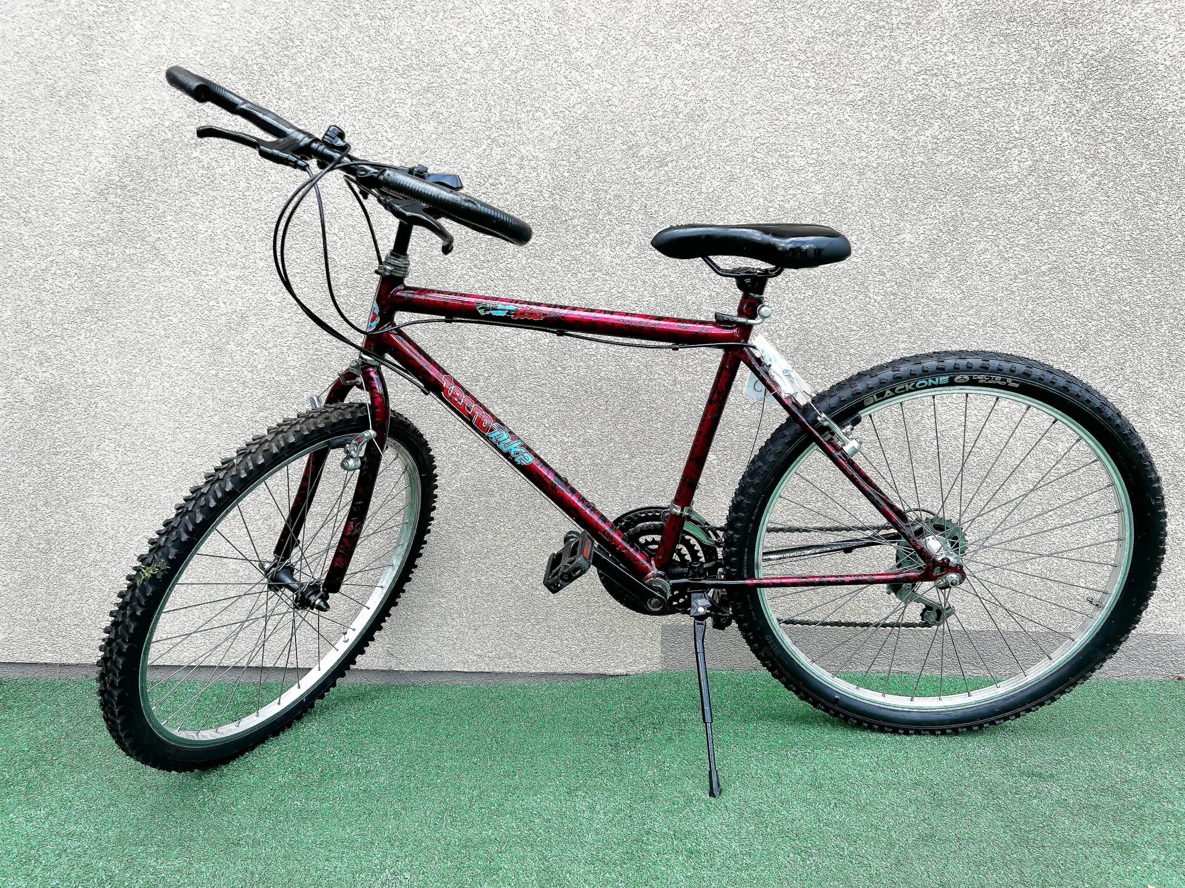 Holenderski rower MTB TecnoBike C15