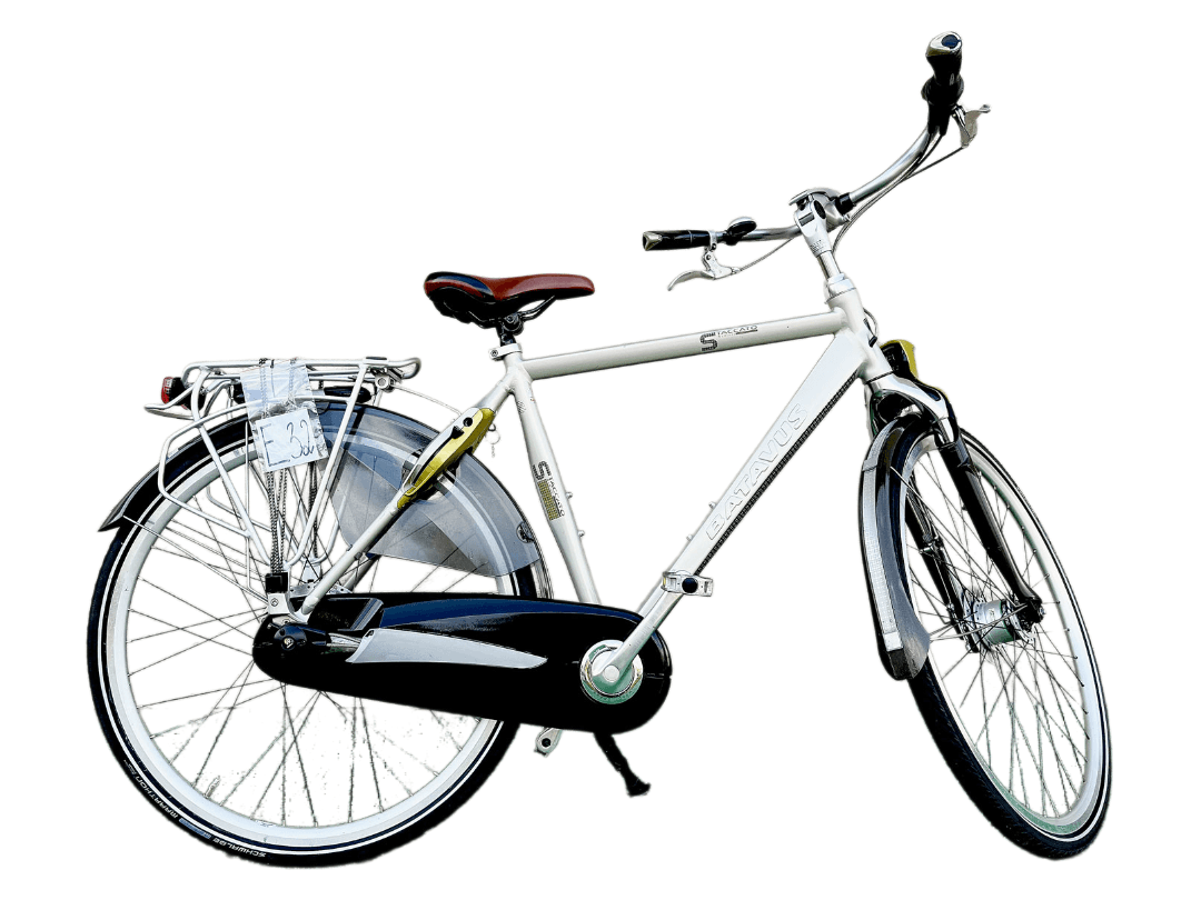 Holenderski rower męski Batavus Alu E32 (NuVinci)