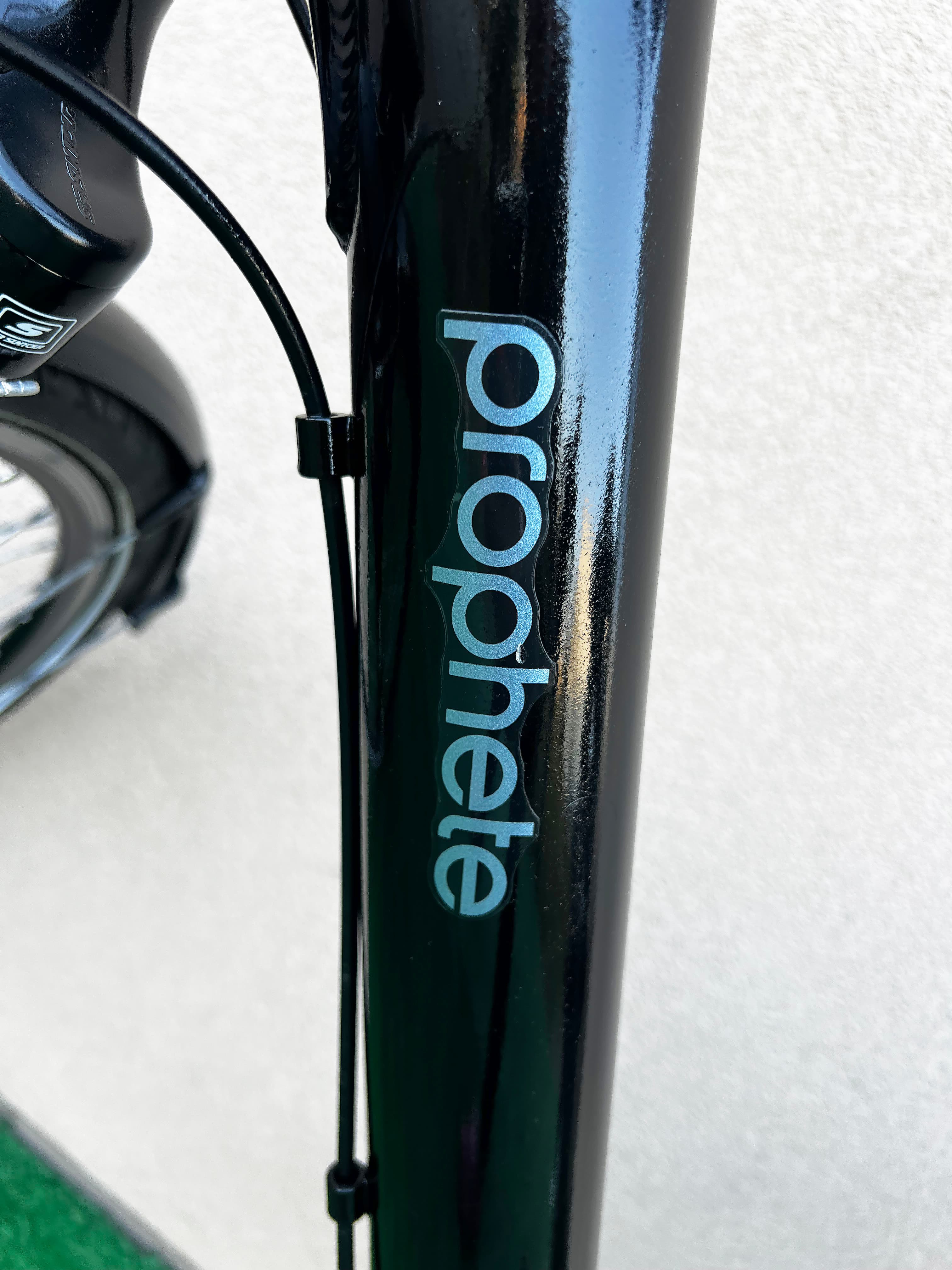 Holenderski rower elektryczny Prophete C53