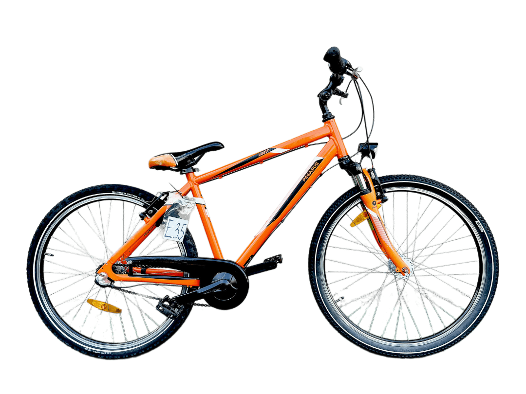 Holenderski rower MTB Pegasus Alu E35