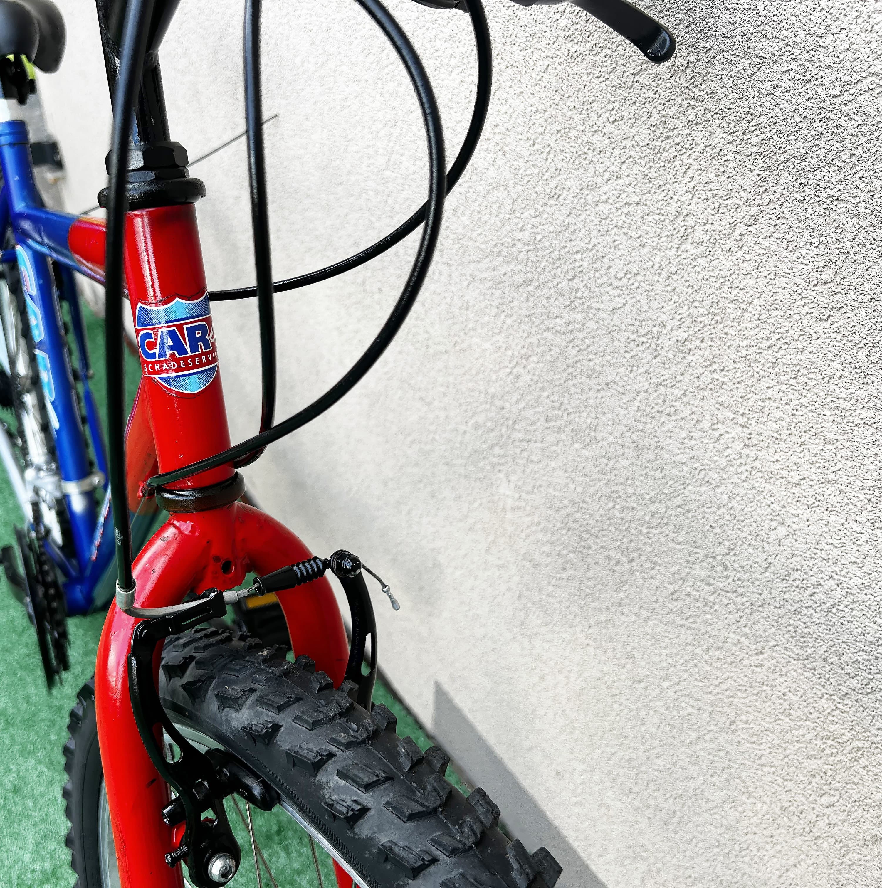 Holenderski rower MTB CareBIKE C14