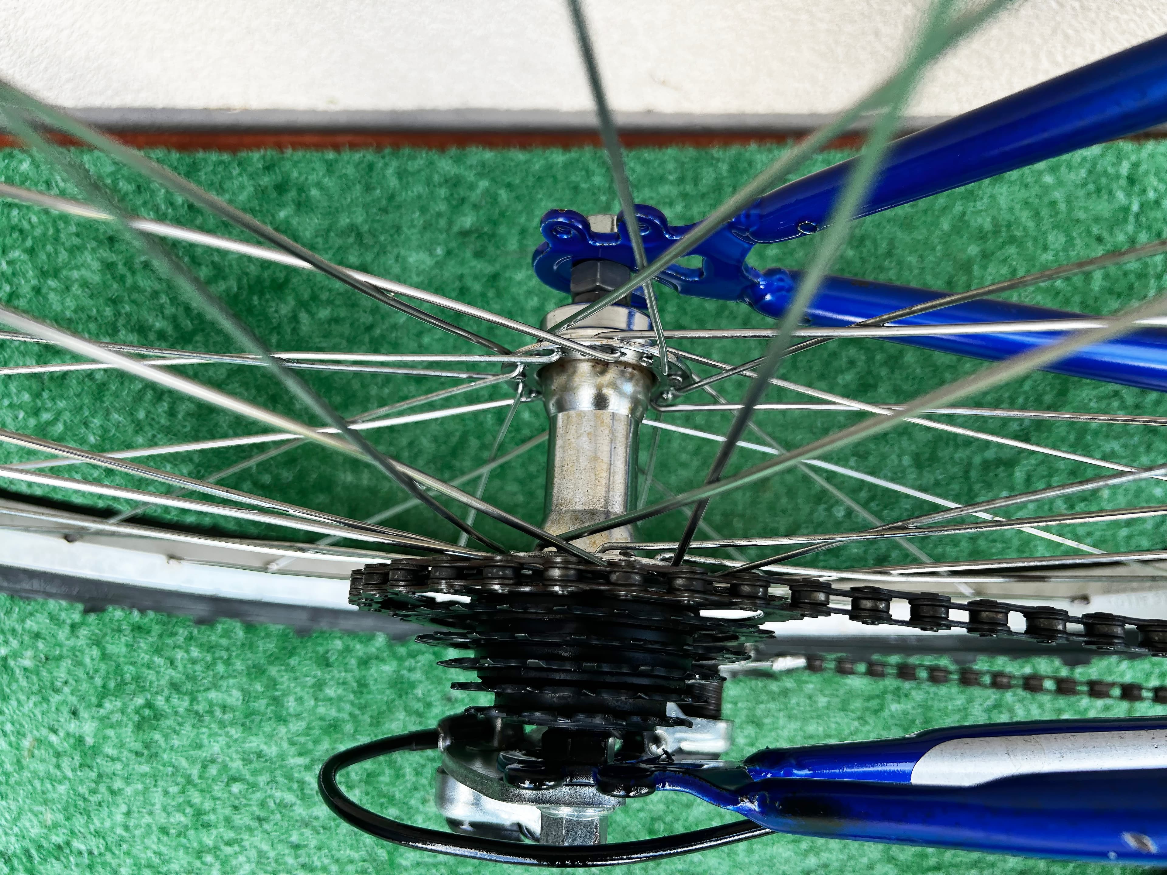 Holenderski rower MTB CareBIKE C14