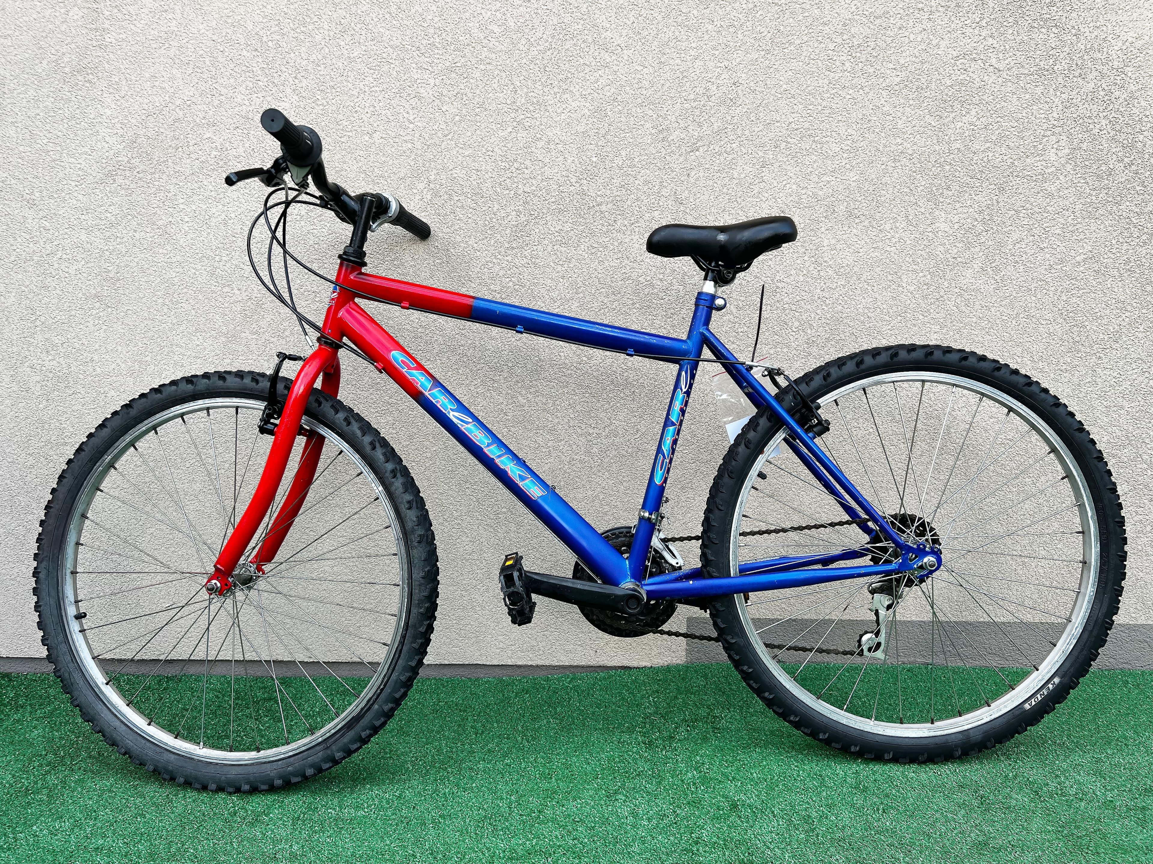 Holenderski rower MTB CareBIKE C14